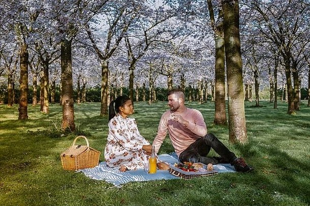 夫妇野餐公园春天阿姆斯特丹荷兰盛开的樱桃开花树阿姆斯特丹但女人走公园森林