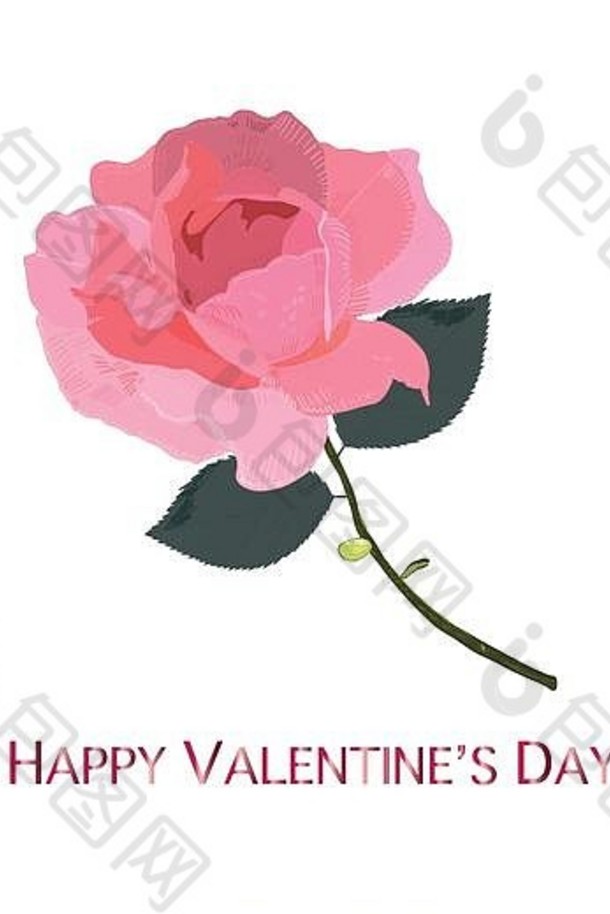 粉红色的手画美玫瑰快乐情人节一天浪漫的问候卡