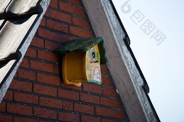 鸟野生动物嵌套盒子花园阳台埃姆斯兰较低的萨克森北西德国