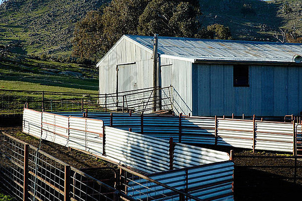 金属农业精品澳大利亚有边的波纹金属栅栏