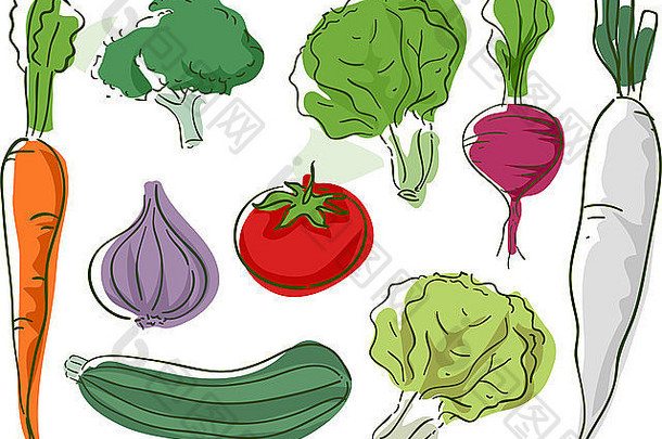 粗略的插图特色类型蔬菜