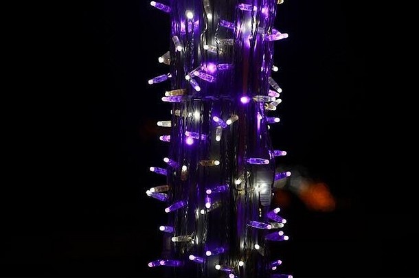 部分圣诞节装饰紫罗兰色的白色闪烁的灯街树细节一年圣诞节装饰字符串大米灯灯泡