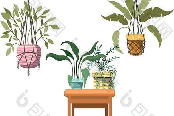 室内植物流苏花边衣架表格