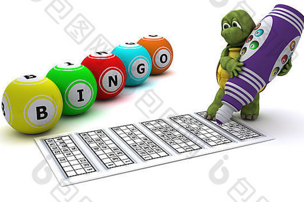 渲染乌龟玩宾戈游戏