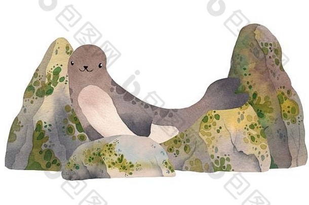 可爱的水彩懒惰的密封放松海岩石悬崖卡哇伊插图孩子们打印