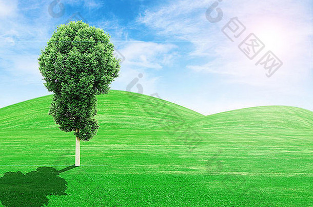 绿色草山树太阳蓝色的天空