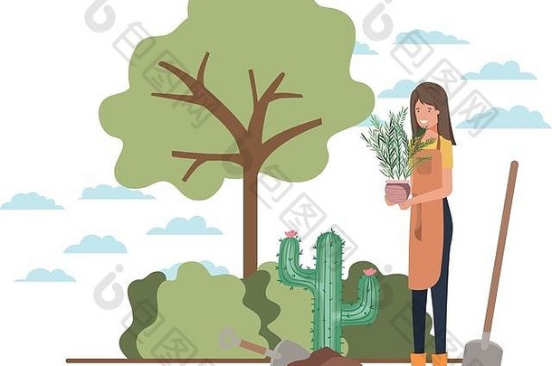 女人树植物景观