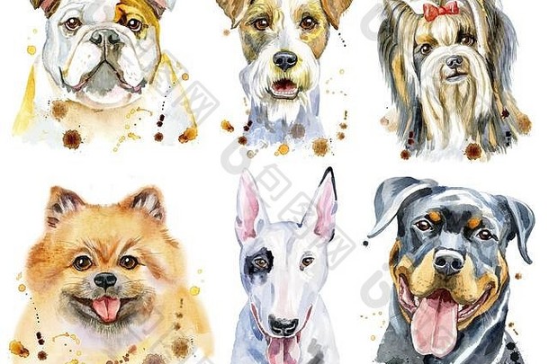 可爱的集水彩肖像狗t恤图形水彩狗插图
