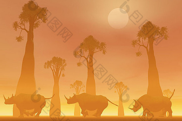 犀牛运行Baobab树萨凡纳多雾的日落光
