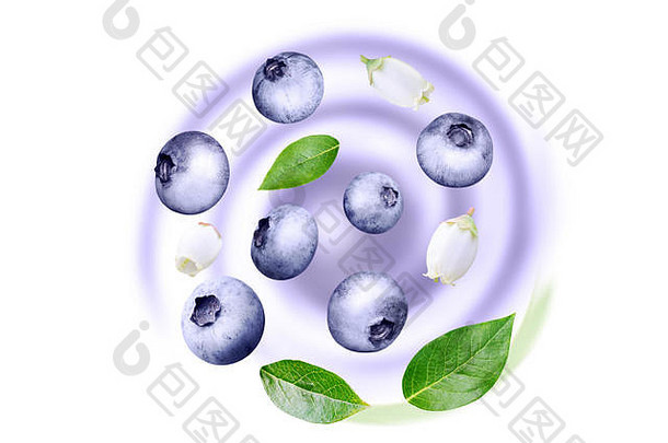 飞行蓝莓漩涡成熟的多汁的紫色的浆果新鲜的叶子白色花模糊水果酸奶背景