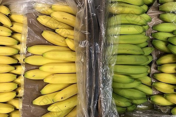 成熟的生香蕉