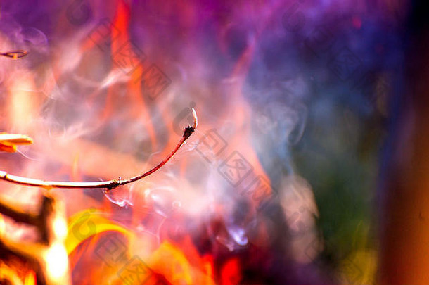 点燃火宏拍摄篝火白色烟热发光的煤炭火燃烧分支机构木火焰壁炉舒适的首页温暖