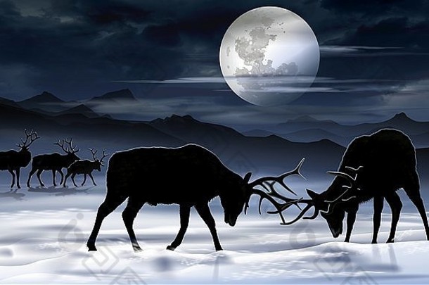 牛麋鹿晚上战斗艺术插图冬天山景观野生动物