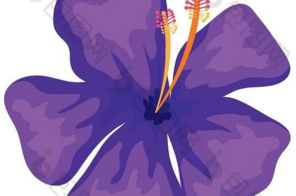 可爱的花自然紫色的颜色孤立的图标