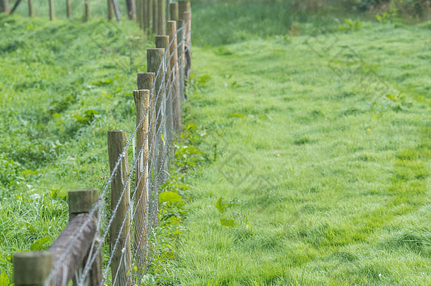 农场栅栏行牛击剑场混合有倒钩的线光滑的钢网障碍写限制运动持有行概念