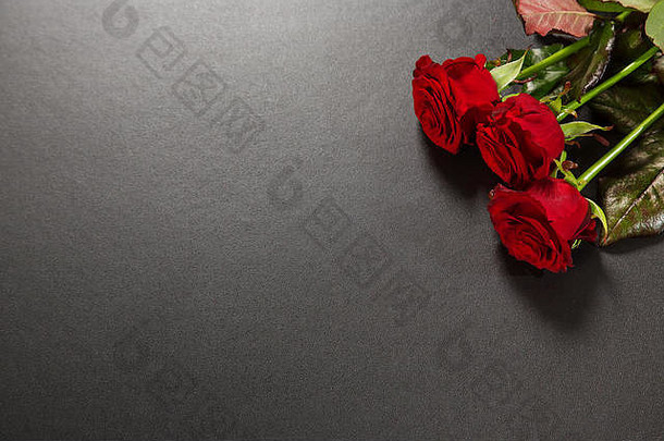 美丽的红色的玫瑰花束黑色的背景问候卡情人节一天3月免费的空间文本