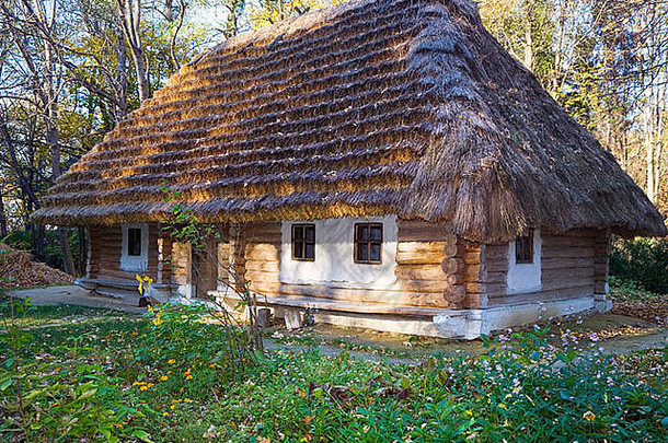 乌克兰历史国家木小屋茅草屋顶花前面