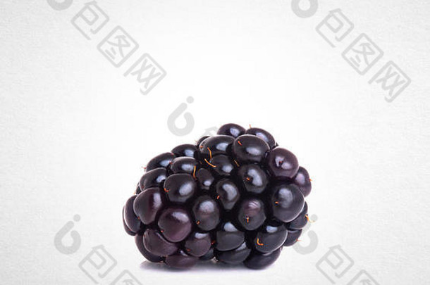 黑莓孤立的白色背景