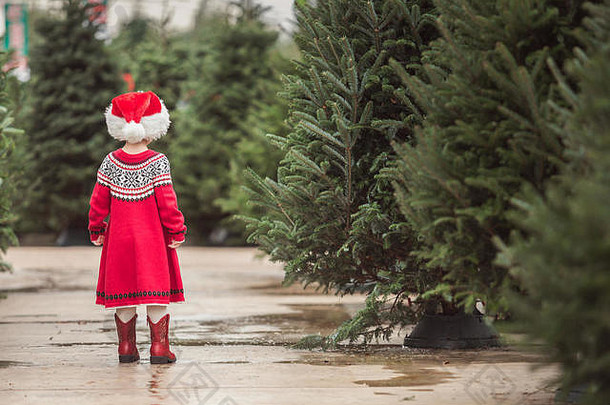 女孩红色的衣服圣诞节树农场