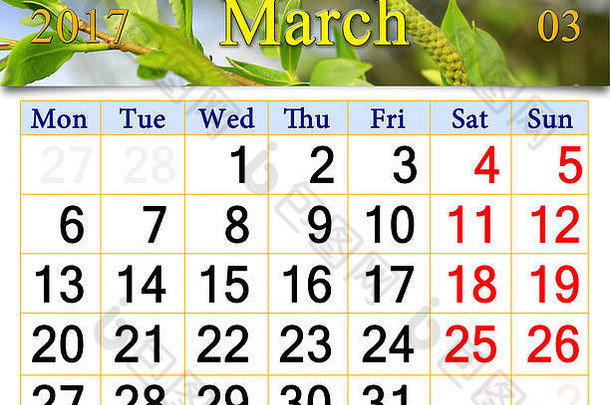 日历3月年轻的豆芽叶子柳树