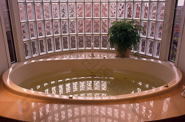 椭圆形浴前面弯曲的玻璃砖墙年代浴室