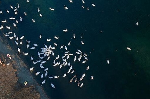 空中视图冻湖鸟soderica克罗地亚