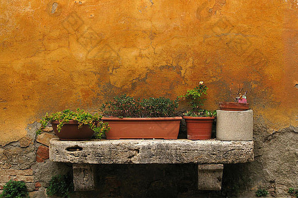 传统的意大利首页乡村明亮的黄色的墙混凝土窗台能植物花