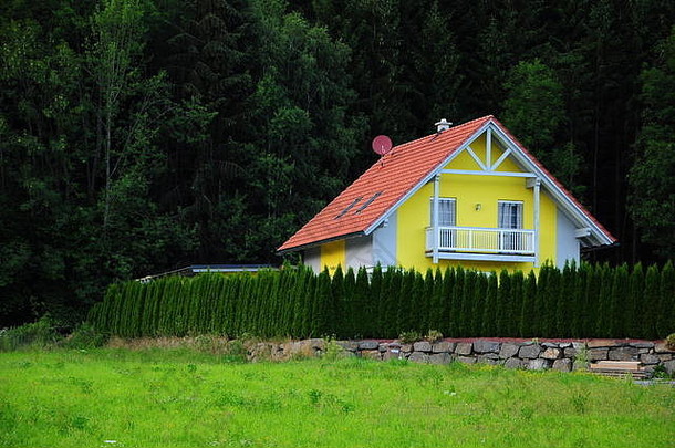 美丽的色彩斑斓的小屋包围柏树栅栏森林背景