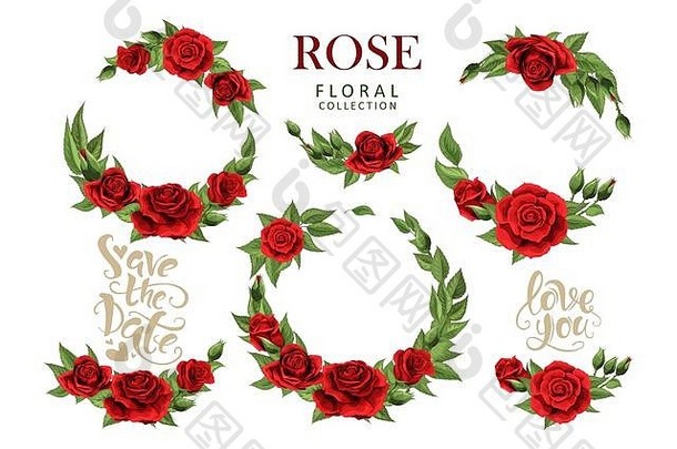 红色的玫瑰手画插图元素彩色的集孤立的白色