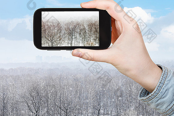 旅行概念旅游需要图片橡木桦木树雪暴雪森林春天智能手机