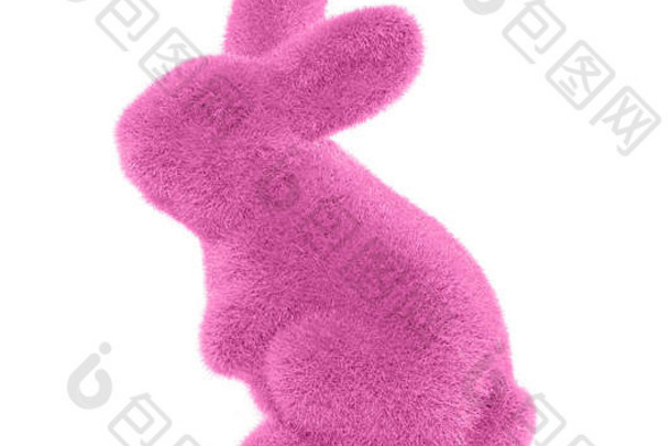 粉红色的兔子白色背景象征爱
