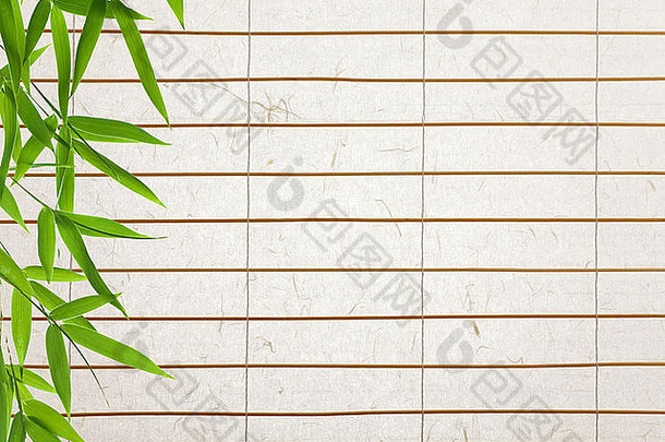大米纸背景竹子叶子