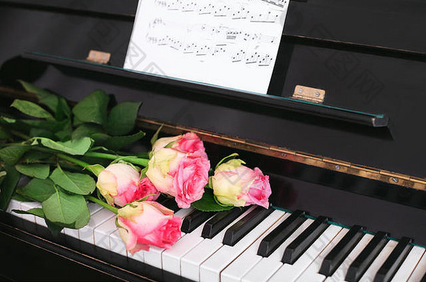 花束粉红色的玫瑰笔记计划键盘概念音乐的教育音乐会
