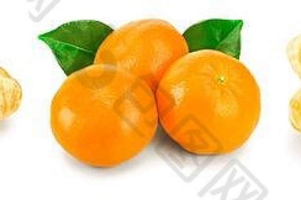 橘子普通话水果叶子孤立的白色背景集集合