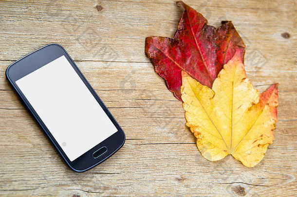手机白色复制空间木背景秋天叶子