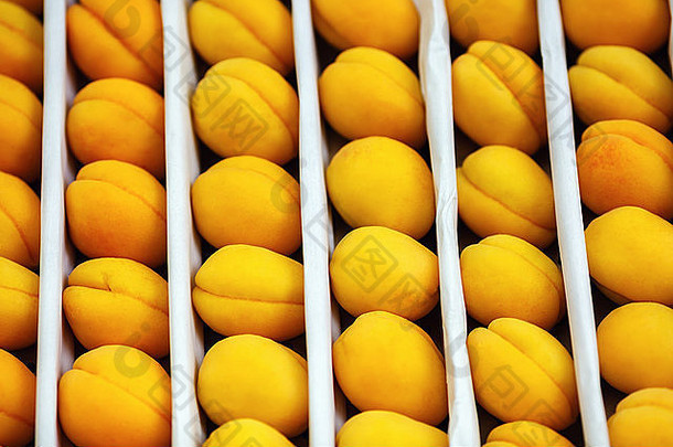 杏子背景新鲜的杏子铺设特殊的包装运输出售浅深度场