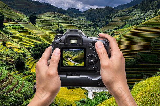 手持有相机采取照片大米字段梯田仓这瓶区日出时间yenbai省西北越南