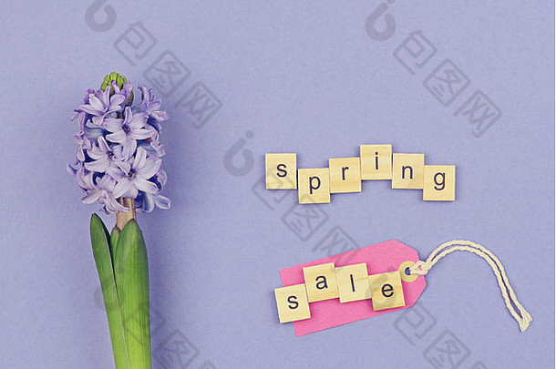 春天出售概念新鲜的花风信子粉红色的标签木信紫罗兰色的背景前视图平躺复制空间