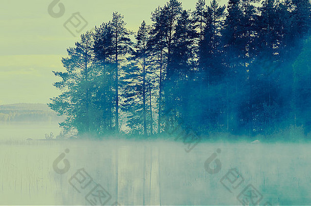 芬兰湖拍摄春天早....雾水树背景