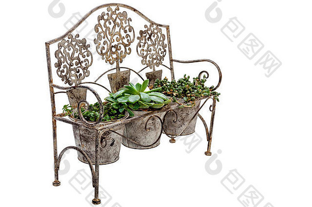 一边视图古董华丽的生锈的造成铁板凳上安装植物锅多汁的绿色植物白色
