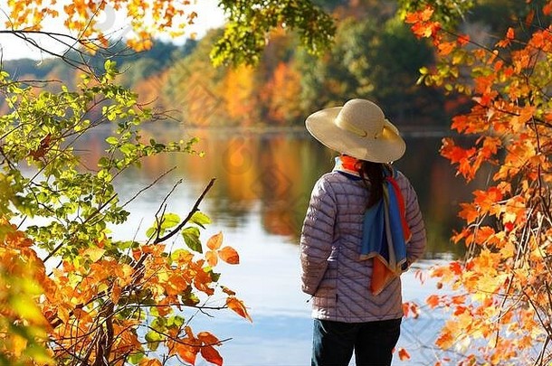 美丽的亚洲女人他围巾站色彩斑斓的树叶英格兰波士顿麻萨诸塞州