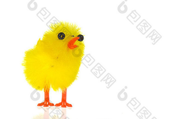 黄色的复活节小鸡孤立的白色背景