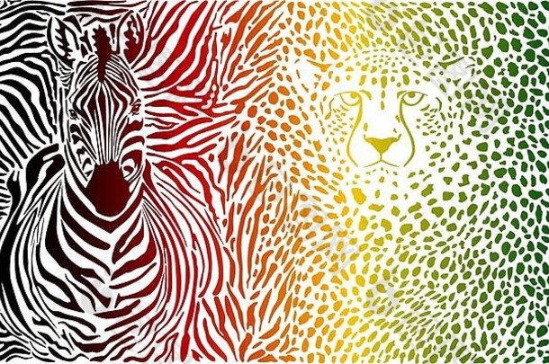 斑马猎豹颜色模式