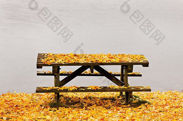 下降叶子覆盖野餐表格湖