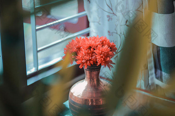 图片花瓶美丽的花