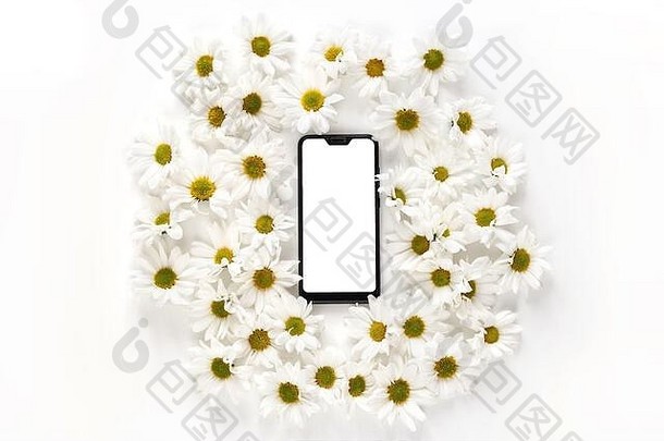 智能手机空白屏幕白色golden-daisy花白色背景平躺前视图模拟