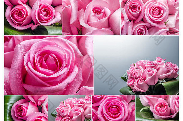 拼贴画美丽的粉红色的玫瑰