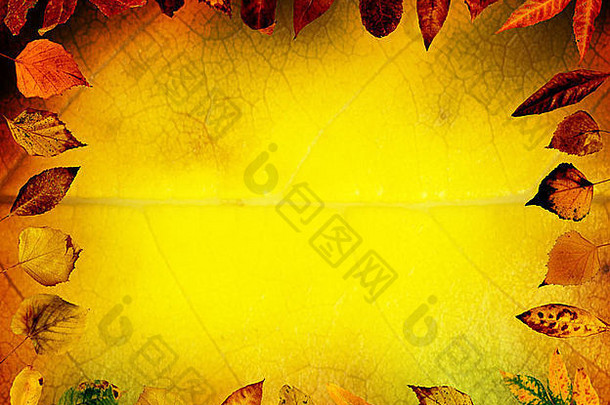 边境秋天叶子黄色的叶复制空间