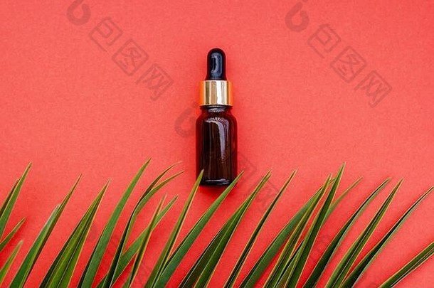 自然化妆品使自然成分现代概念化妆品红色的背景棕榈叶血清刷自然刷毛