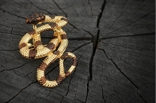 珠宝蛇胸针宝石木部分背景复制空间